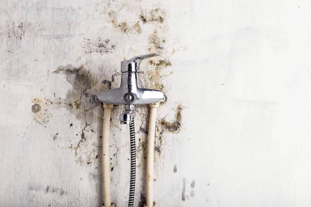 Best Mold Testing  in Newark, CA