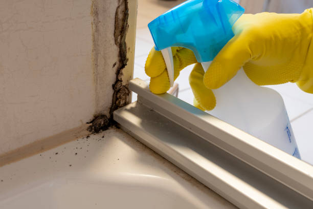 Best Crawl Space Mold Removal  in Newark, CA
