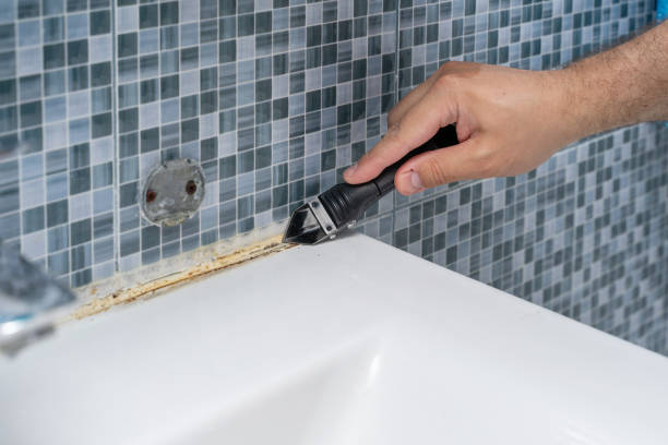 Best Mold Testing  in Newark, CA